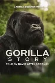 David Attenborough: Bir Goril Hikâyesi